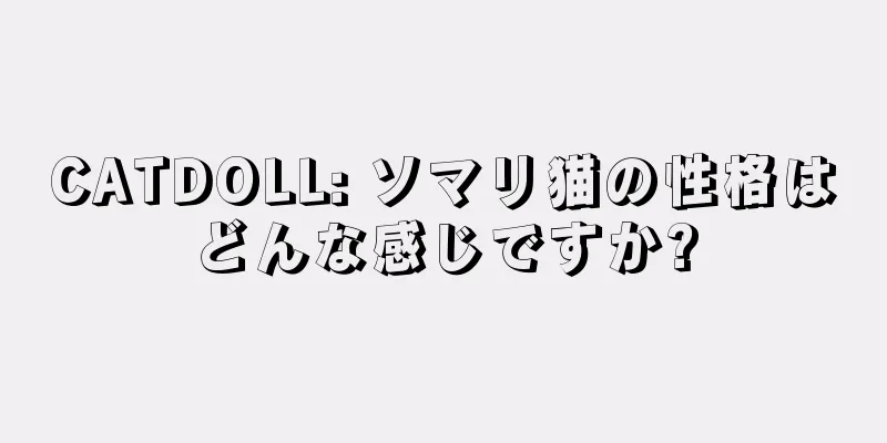 CATDOLL: ソマリ猫の性格はどんな感じですか?