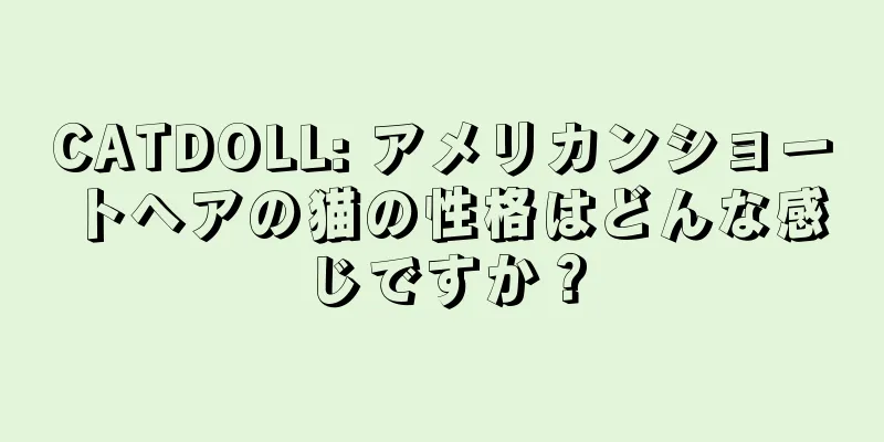 CATDOLL: アメリカンショートヘアの猫の性格はどんな感じですか？