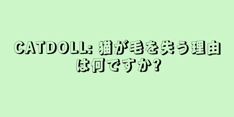 CATDOLL: 猫が毛を失う理由は何ですか?