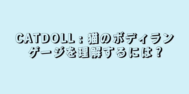 CATDOLL : 猫のボディランゲージを理解するには？