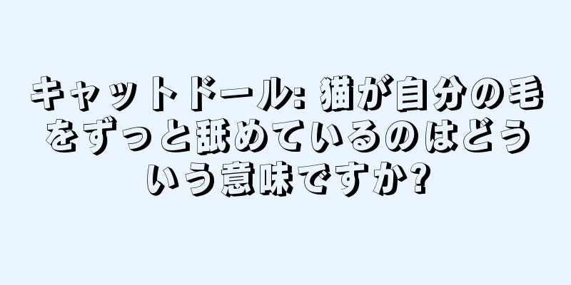 キャットドール: 猫が自分の毛をずっと舐めているのはどういう意味ですか?