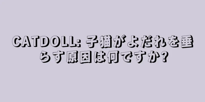 CATDOLL: 子猫がよだれを垂らす原因は何ですか?