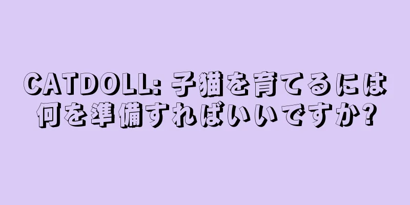 CATDOLL: 子猫を育てるには何を準備すればいいですか?