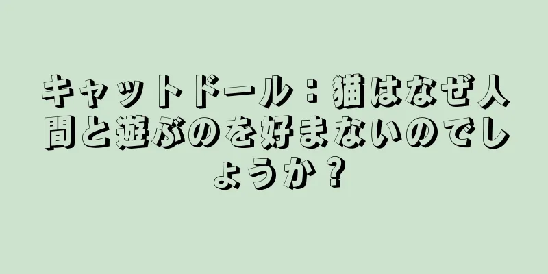 キャットドール：猫はなぜ人間と遊ぶのを好まないのでしょうか？