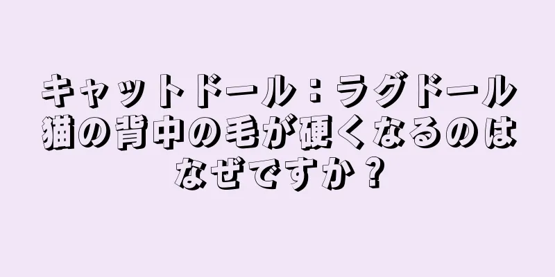 キャットドール：ラグドール猫の背中の毛が硬くなるのはなぜですか？