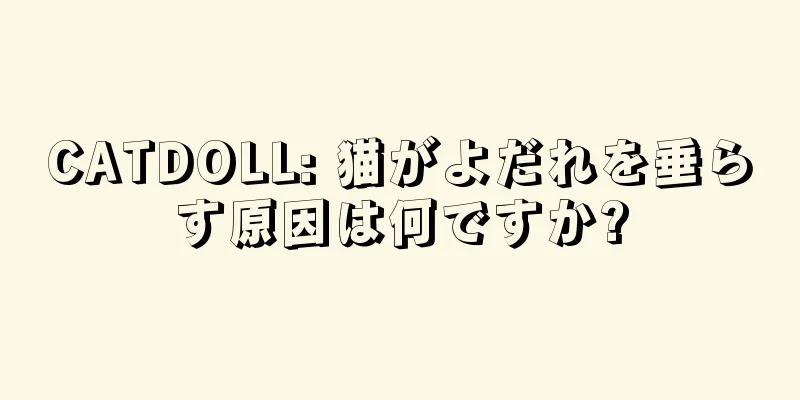 CATDOLL: 猫がよだれを垂らす原因は何ですか?