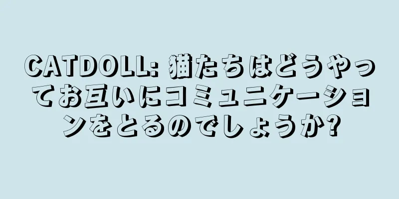 CATDOLL: 猫たちはどうやってお互いにコミュニケーションをとるのでしょうか?