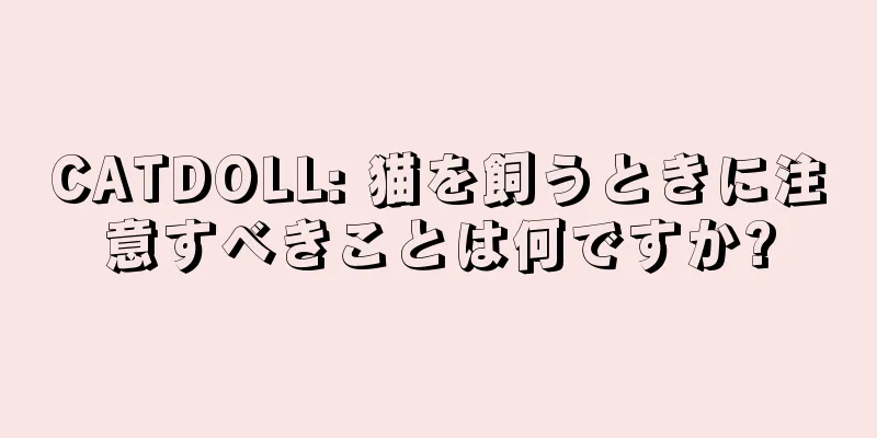 CATDOLL: 猫を飼うときに注意すべきことは何ですか?