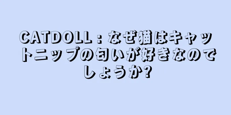 CATDOLL : なぜ猫はキャットニップの匂いが好きなのでしょうか?