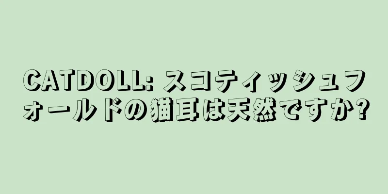CATDOLL: スコティッシュフォールドの猫耳は天然ですか?