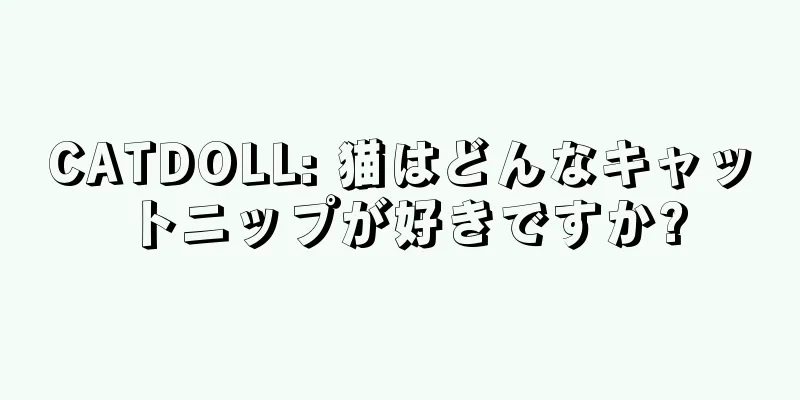CATDOLL: 猫はどんなキャットニップが好きですか?