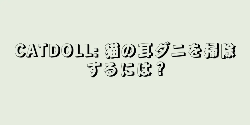CATDOLL: 猫の耳ダニを掃除するには？