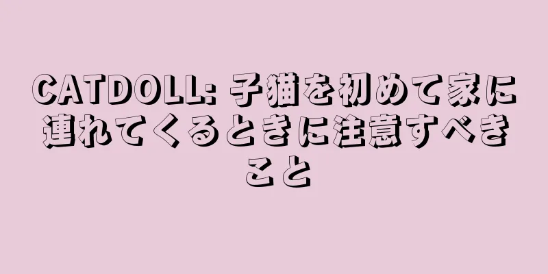 CATDOLL: 子猫を初めて家に連れてくるときに注意すべきこと