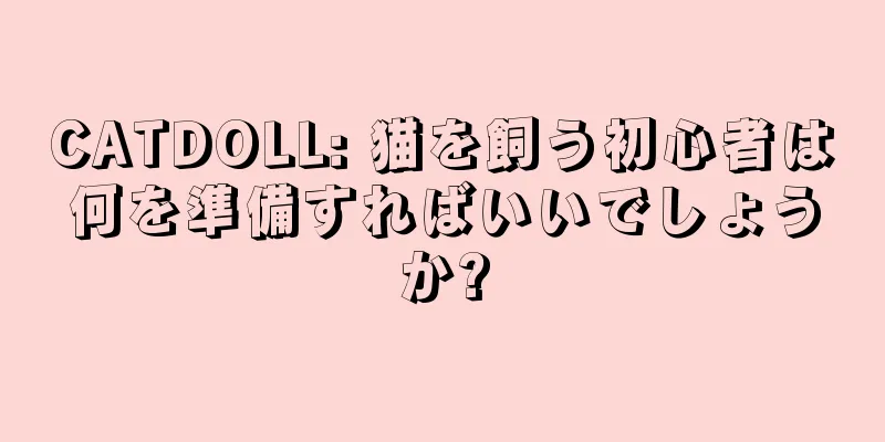 CATDOLL: 猫を飼う初心者は何を準備すればいいでしょうか?