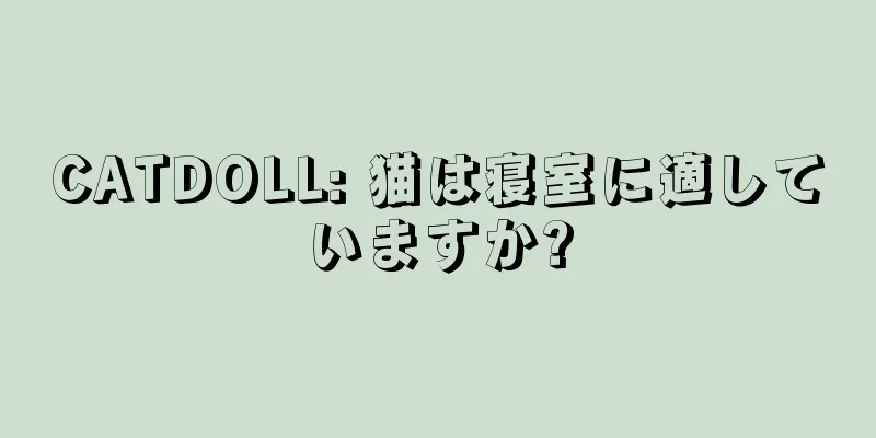 CATDOLL: 猫は寝室に適していますか?