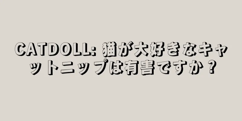 CATDOLL: 猫が大好きなキャットニップは有害ですか？