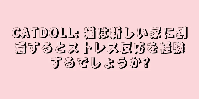 CATDOLL: 猫は新しい家に到着するとストレス反応を経験するでしょうか?