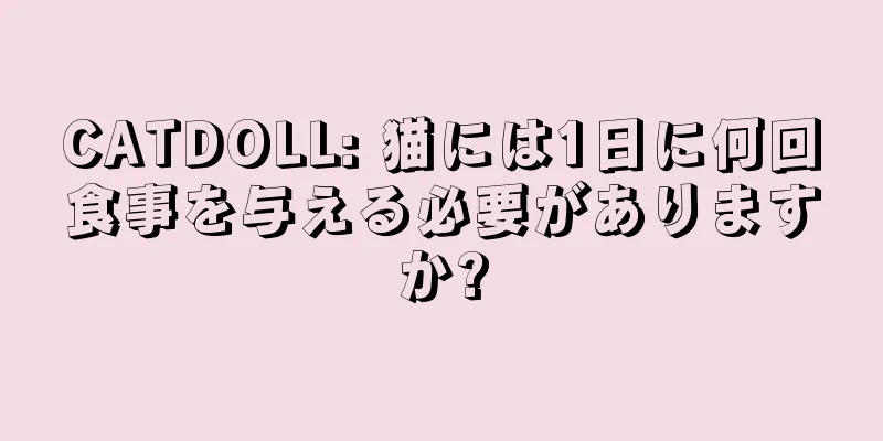 CATDOLL: 猫には1日に何回食事を与える必要がありますか?
