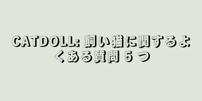 CATDOLL: 飼い猫に関するよくある質問 5 つ