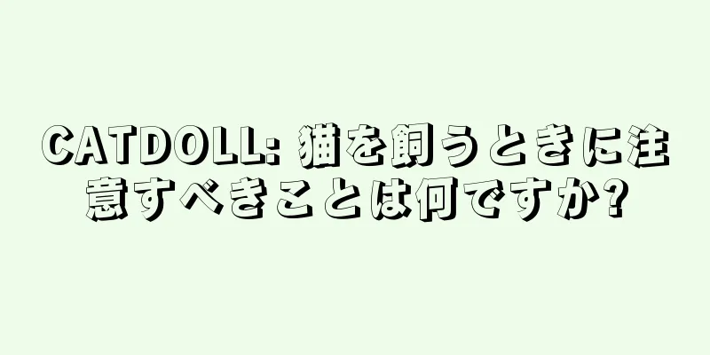 CATDOLL: 猫を飼うときに注意すべきことは何ですか?