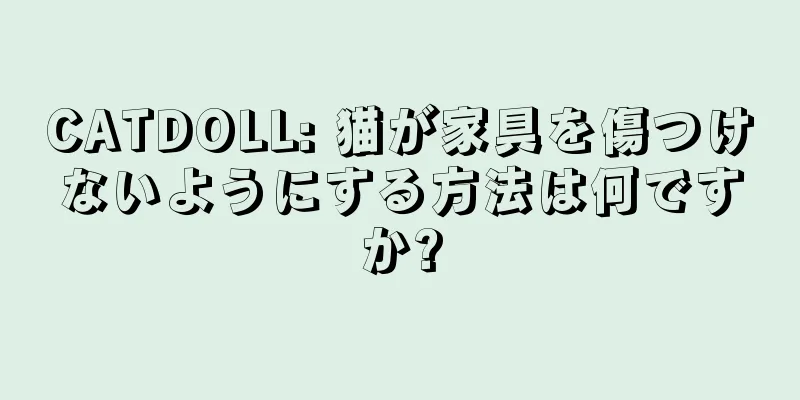 CATDOLL: 猫が家具を傷つけないようにする方法は何ですか?