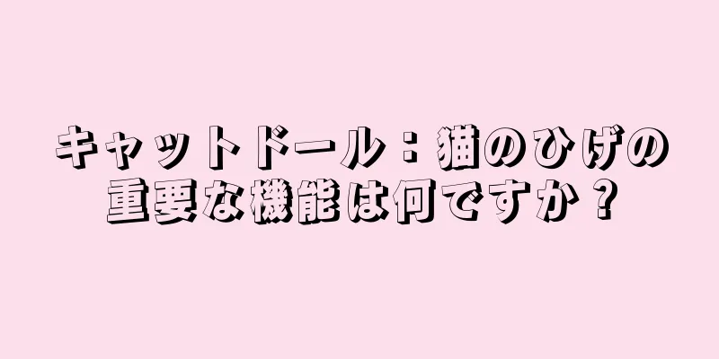 キャットドール：猫のひげの重要な機能は何ですか？
