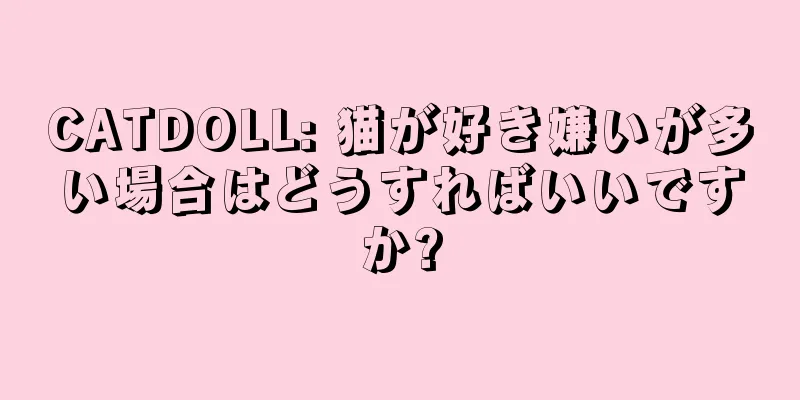 CATDOLL: 猫が好き嫌いが多い場合はどうすればいいですか?