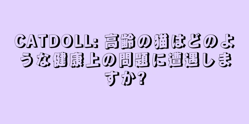 CATDOLL: 高齢の猫はどのような健康上の問題に遭遇しますか?