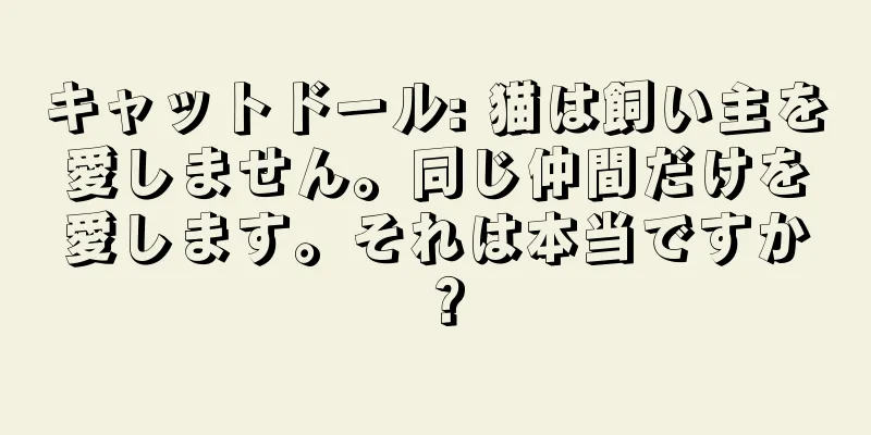キャットドール: 猫は飼い主を愛しません。同じ仲間だけを愛します。それは本当ですか？