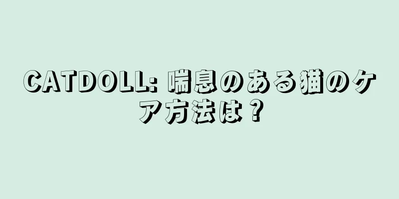 CATDOLL: 喘息のある猫のケア方法は？