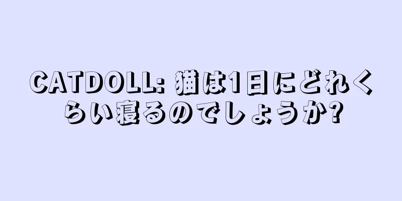 CATDOLL: 猫は1日にどれくらい寝るのでしょうか?