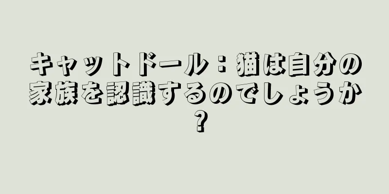 キャットドール：猫は自分の家族を認識するのでしょうか？