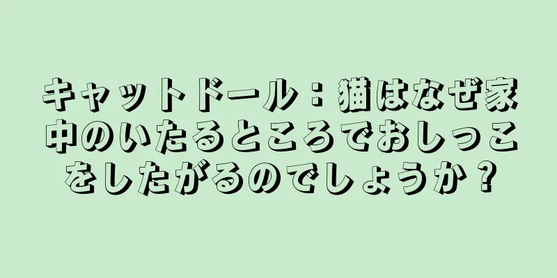 キャットドール：猫はなぜ家中のいたるところでおしっこをしたがるのでしょうか？
