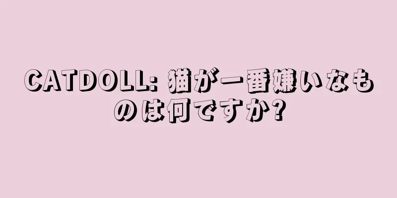 CATDOLL: 猫が一番嫌いなものは何ですか?