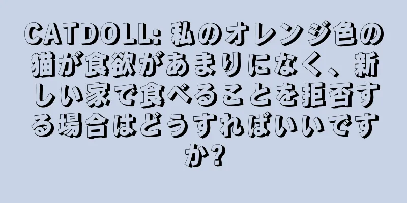 CATDOLL: 私のオレンジ色の猫が食欲があまりになく、新しい家で食べることを拒否する場合はどうすればいいですか?