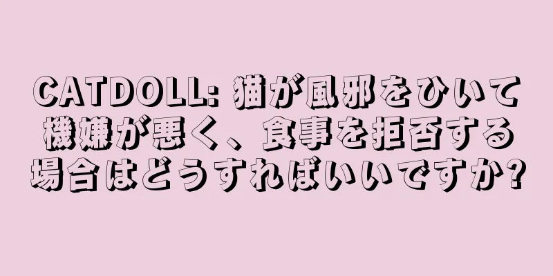 CATDOLL: 猫が風邪をひいて機嫌が悪く、食事を拒否する場合はどうすればいいですか?