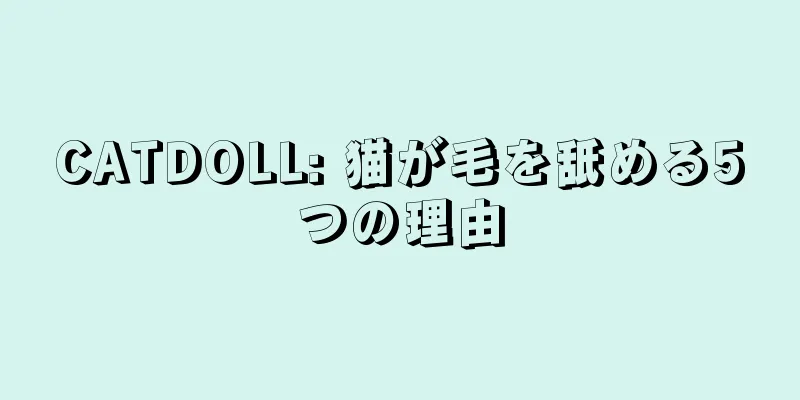 CATDOLL: 猫が毛を舐める5つの理由