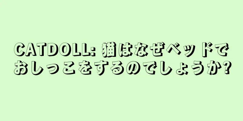 CATDOLL: 猫はなぜベッドでおしっこをするのでしょうか?