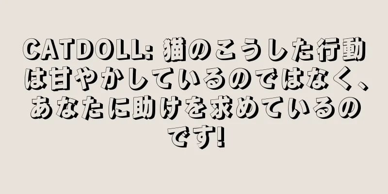 CATDOLL: 猫のこうした行動は甘やかしているのではなく、あなたに助けを求めているのです!