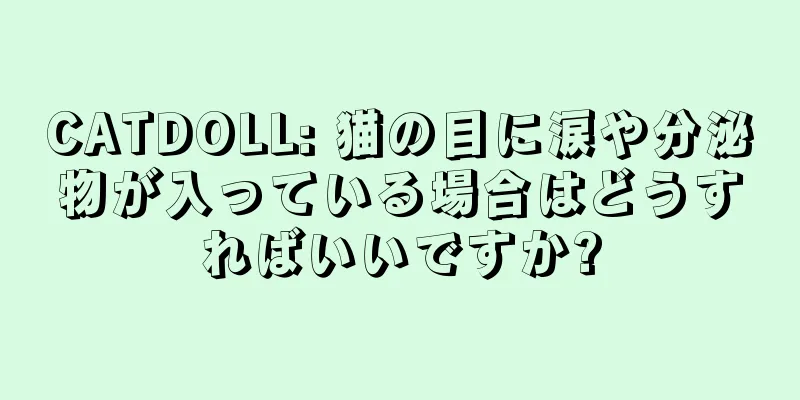 CATDOLL: 猫の目に涙や分泌物が入っている場合はどうすればいいですか?