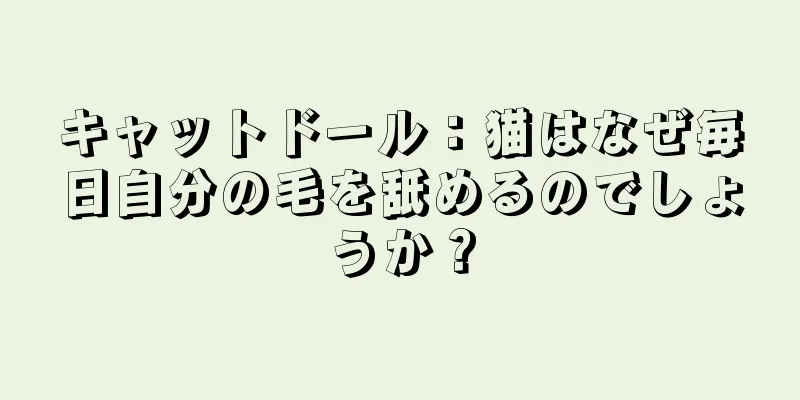キャットドール：猫はなぜ毎日自分の毛を舐めるのでしょうか？