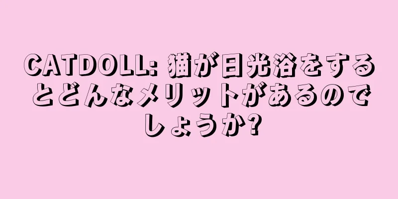 CATDOLL: 猫が日光浴をするとどんなメリットがあるのでしょうか?