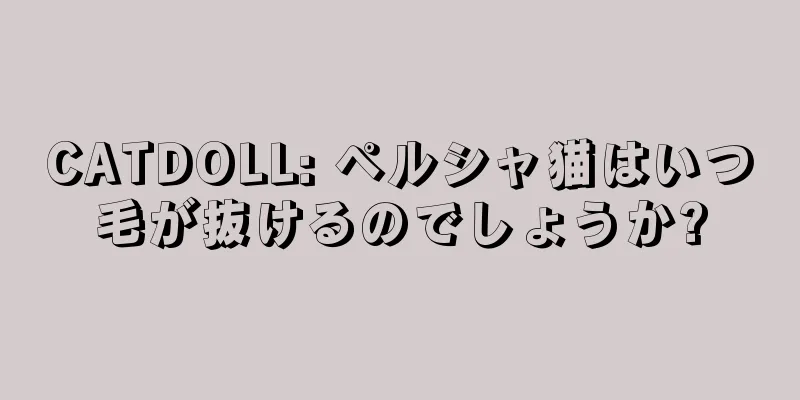 CATDOLL: ペルシャ猫はいつ毛が抜けるのでしょうか?