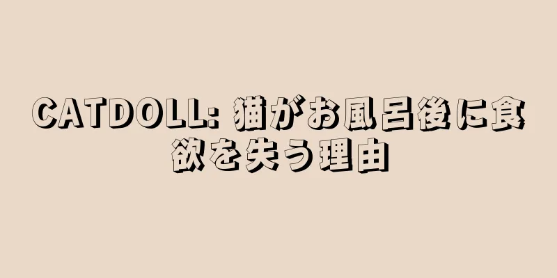 CATDOLL: 猫がお風呂後に食欲を失う理由