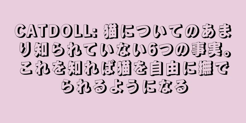 CATDOLL: 猫についてのあまり知られていない6つの事実。これを知れば猫を自由に撫でられるようになる