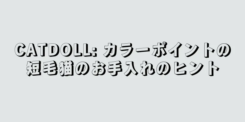 CATDOLL: カラーポイントの短毛猫のお手入れのヒント