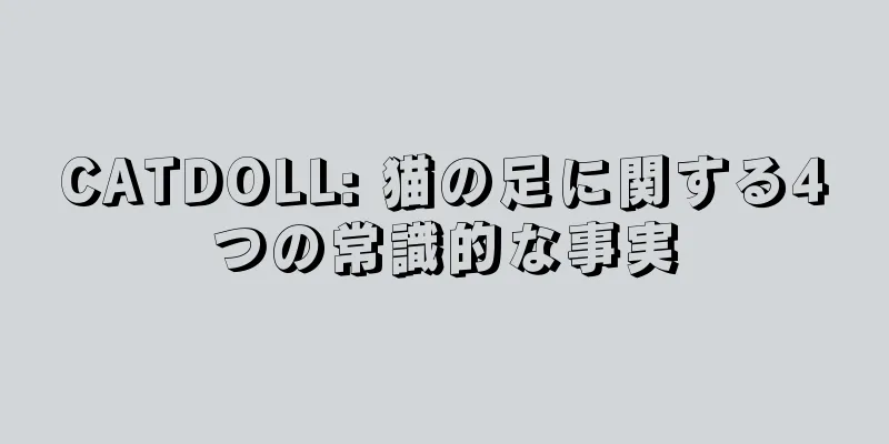 CATDOLL: 猫の足に関する4つの常識的な事実