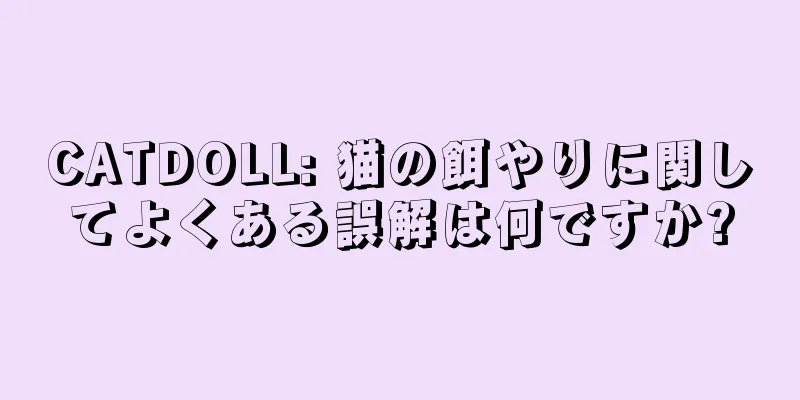 CATDOLL: 猫の餌やりに関してよくある誤解は何ですか?
