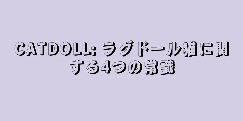 CATDOLL: ラグドール猫に関する4つの常識