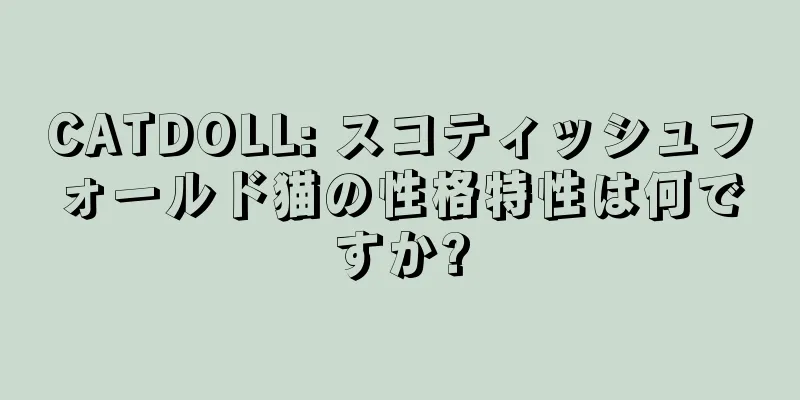 CATDOLL: スコティッシュフォールド猫の性格特性は何ですか?